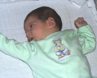 image033.jpg (7456 bytes)